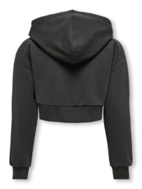 Short hoodie ONLY Diana black