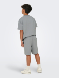 Korte broek ONLY&SONS Kian sedona sage