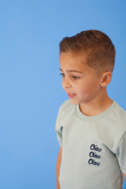 Shirt STURDY the good life mint 71700452