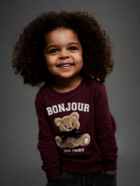 Trui NAME IT GIRLS Rear bordeaux