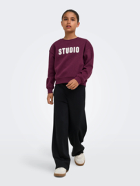 Trui SWEAT LS CREW NOOS fig