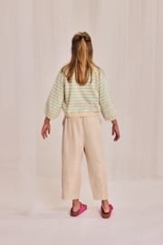 Broek  AO76 asa gold