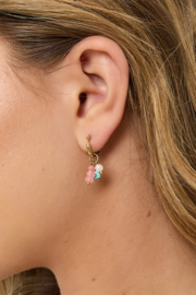 Oorbellen roestvrijstaal multi colour goud