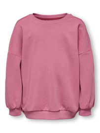 Sweater ONLY mini Georgia rose