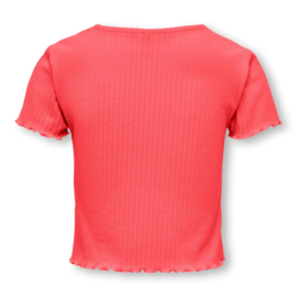 Shirt ONLY Nella dubarry