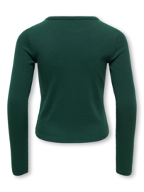 Korte longsleeve LUCKY NOOS June bug