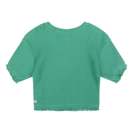 T-shirt fancy rib DAILY7 3102 green sea