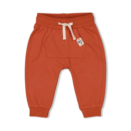 Broek Feetje Go Fetch brique 52202267
