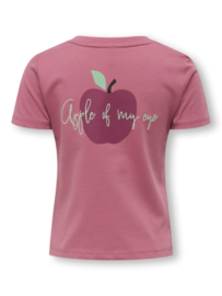 Shirt ONLY mini candy rose