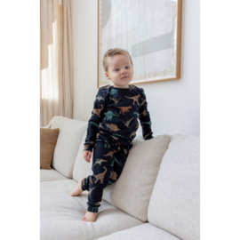 Premium pyjama FEETJE Davy Dino