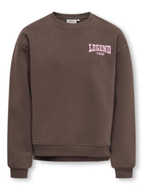 Sweater ONLY Vicky braken