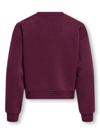 Trui SWEAT LS CREW NOOS fig