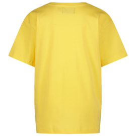 Shirt RAIZZED halston banani