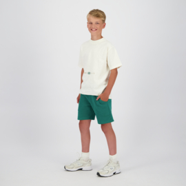 Shirt RAIZZED boys Happens almond white (R126KB300073-078)