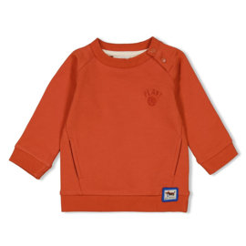 Sweater Feetje Go Fetch brique 51602474
