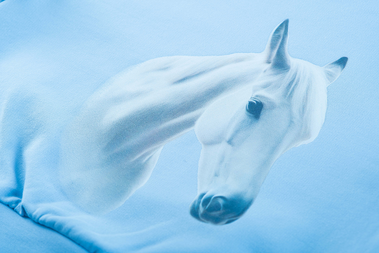 Trui SOMEONE Cheval cloudy blue
