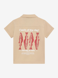 Polo shirt DAILY7 BOYS 920306 latte sand