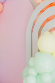 Set Roze & Regenboog Paneel + Ballonbogen