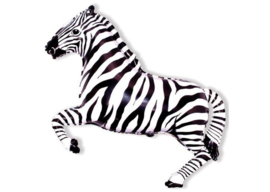 Zebra 32"