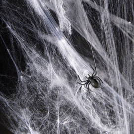 Halloween Spinnenweb 60gr