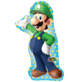 Super Mario Luigi 38"
