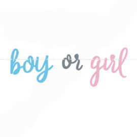 Boy Or Girl Banner
