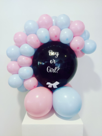 Gender Reveal Ballonkrans