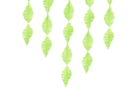 Crêpe slinger - Kwastjes, groen, 3m