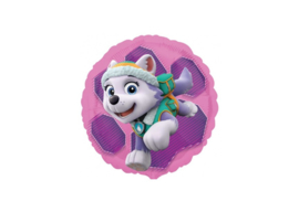 Paw patrol Skye & Everest 18’’