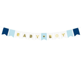 Baby Boy Banner