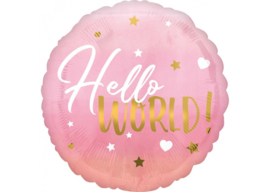 Hello World roze 18’’