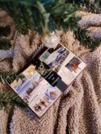 Kerstbox met 10 kerstkaarten 'Besneeuw landschap.'