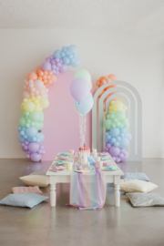 Set Roze & Regenboog Paneel + Ballonbogen