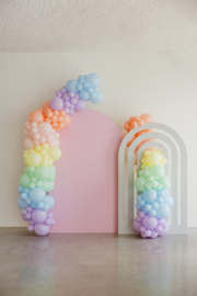 Set Roze & Regenboog Paneel + Ballonbogen