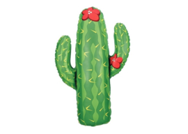 Cactus 41"