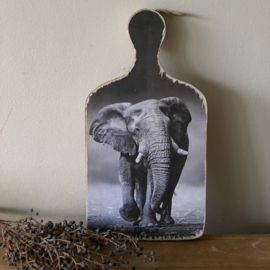 Deco plankje Olifant