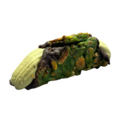 Verse Cannoli Croccante Verde Pistache Salato (Gezouten Pistache)