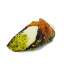 Verse Cannoli Croccante Chantilly