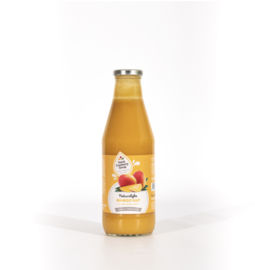 Puur 100% Mango - Ananas Sap.