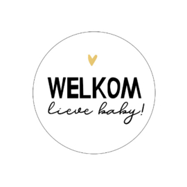 10 stickers welkom lieve baby