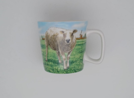 mok schaap
