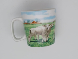 mok schaap