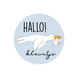 Sticker - Ooievaar Hallo kleintje - 4 cm