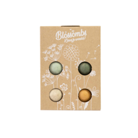 Blossombs giftbox zaadbom/ bloemenbom weggeefcadeautje