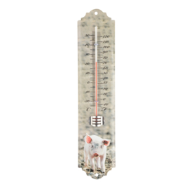 thermometer biggetje