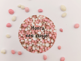 Stickers geboorte | 24 stuks | Hoera een zusje!
