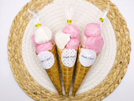 Ijshoorn | witte en roze spekjes | Naamsticker