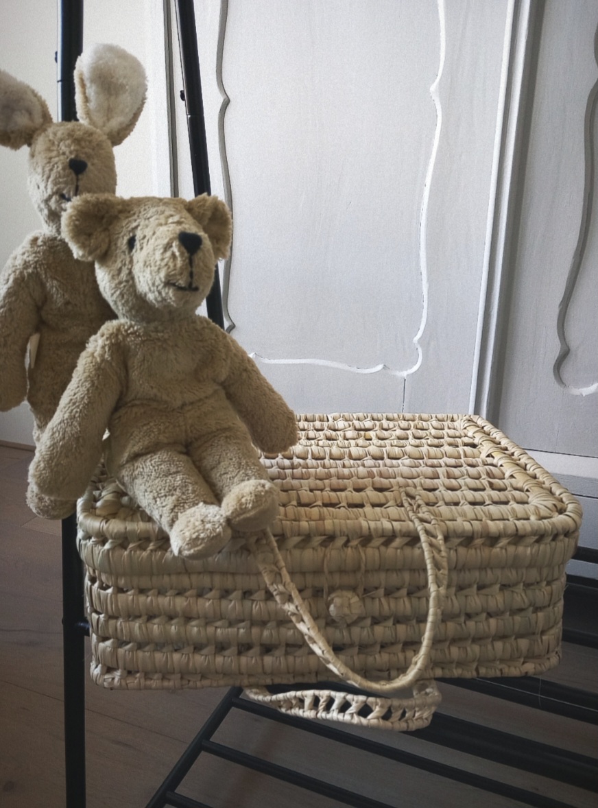 Koffer mandje