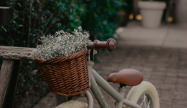 Fietsmandje