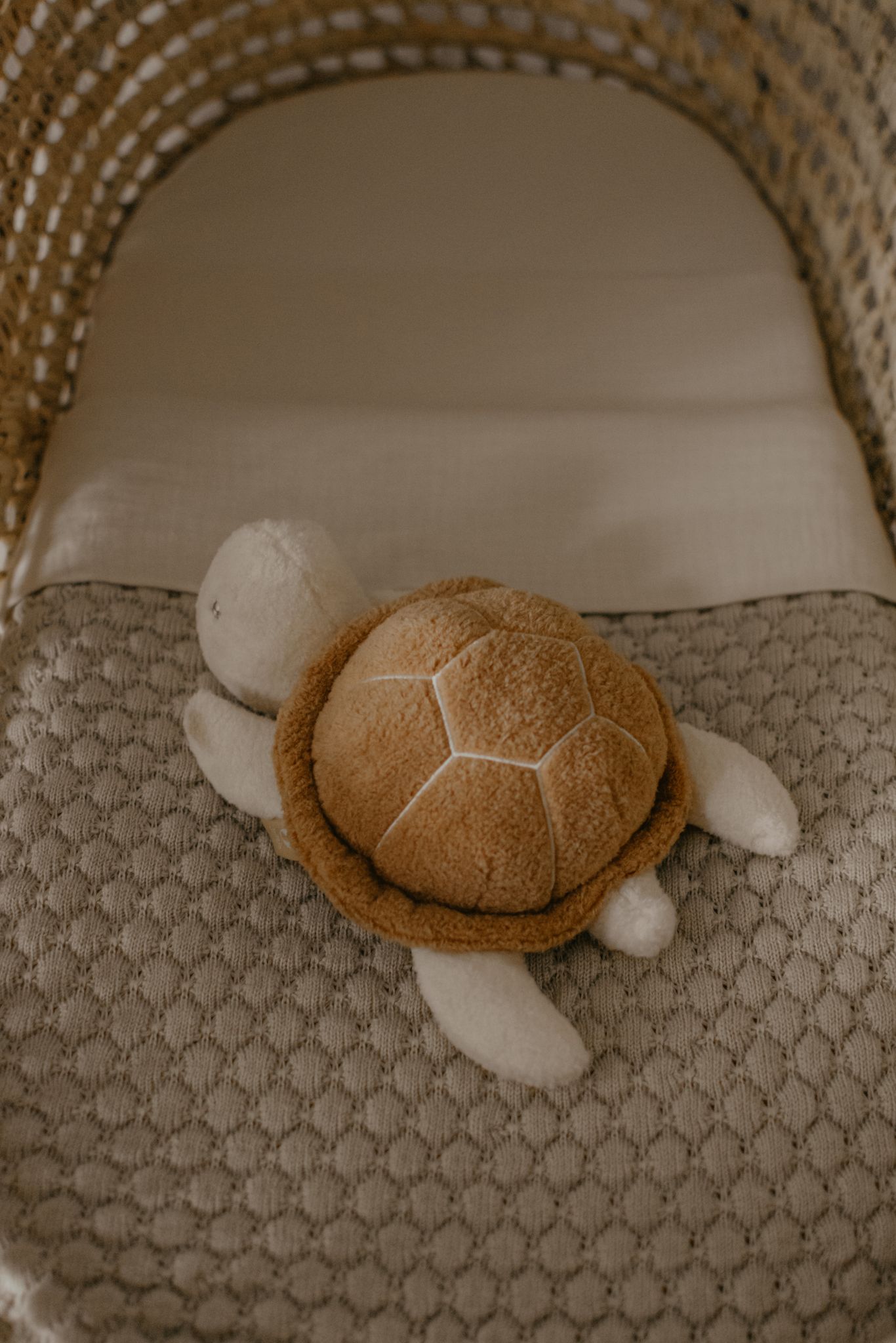 Activiteiten knuffel Schildpad